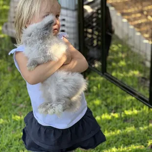 Bunny experience popular with kids and adults