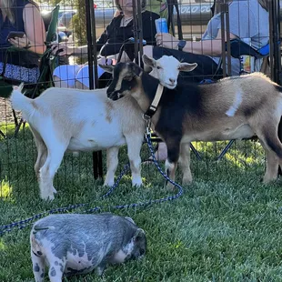 I can do mobile events and private sessions