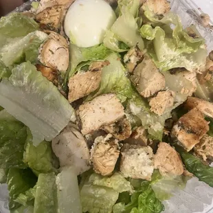 Grilled Chicken Caesar