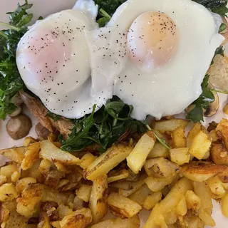Benedict Dolores