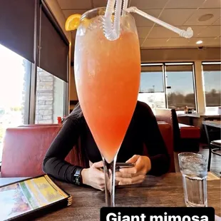 Giant mimosa