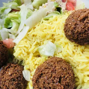 Falafel Sandwich Small plate