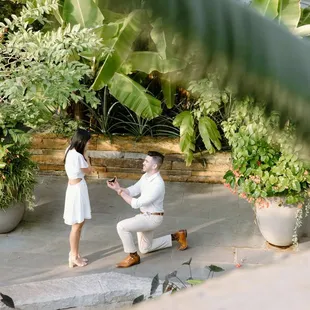 Proposal Photography