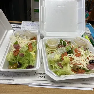 I received the one on the left as a large antipasta salad. So I ordered another day a large and small to see the difference.