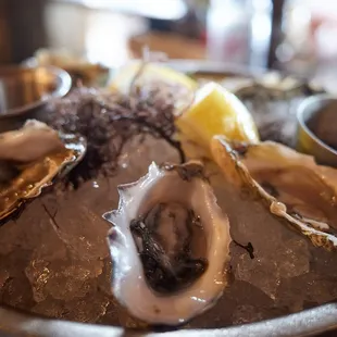 HH - Kumamoto oysters