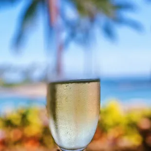 Amazing Champagne