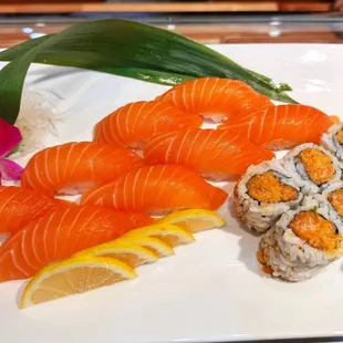 Salmon Lover