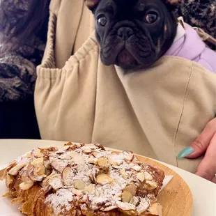 @ubefrenchie with his twice baked almond croissant