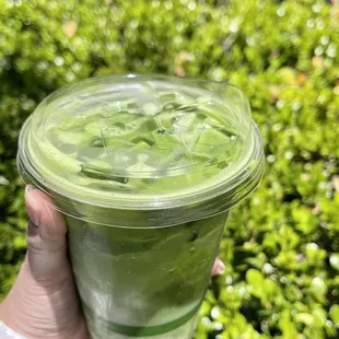 Iced Orange Blossom Matcha Latte