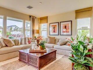 Straight & Level Photography