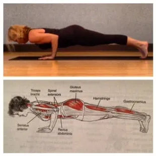 Lower image taken from Yoga Anatomy by Leslie Kaminoff
