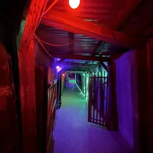 a purple and red light