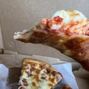 a hand holding a slice of pizza