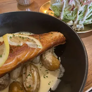 Scottish Salmon