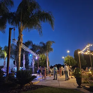 palm trees and a stage