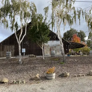 Bar where wine is served