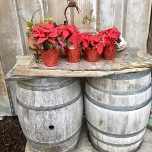 New Years Eve 2017 Wine Tasting!