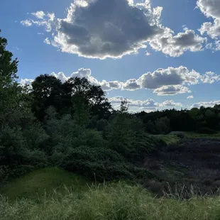 It's just pretty like this here!