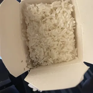 Ants /White Rice