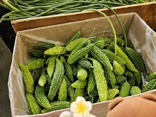 Three Princesses Fruit