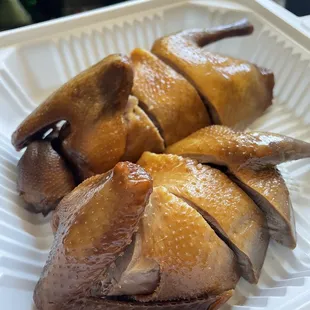 Squab