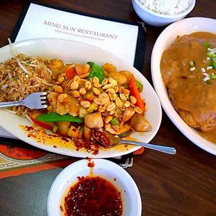 Kung POW Chicken and 4 patties Chicken Eggs Foo Young Delicious  Love  you go now