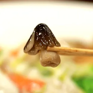 sushi, food, sashimi, sushi and sashimi