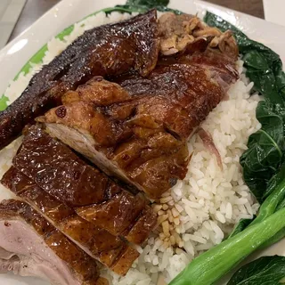Roasted Duck Over Rice