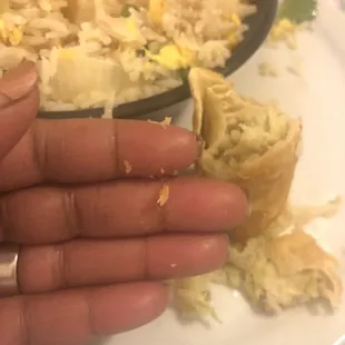 Linty substance from egg roll.