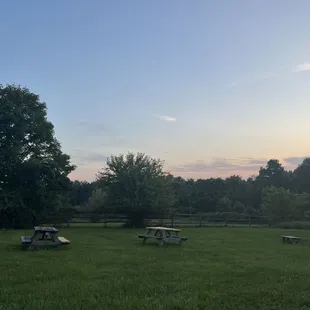 picnic tables in a field