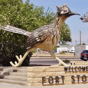 Roadrunner across the street.