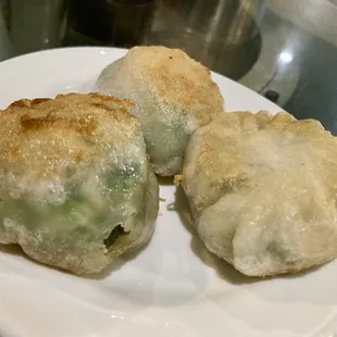 Pan Fried Chive Dumpling