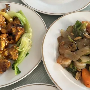 Sweet &amp; Sour Pork and King Pao Shrimp