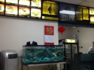 China Gourmet