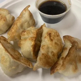 Fried Dumplings