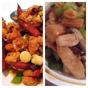 The one on the left is what Kung pao chicken is. The one on the right is what they sent me. Does this look like the same thing?
