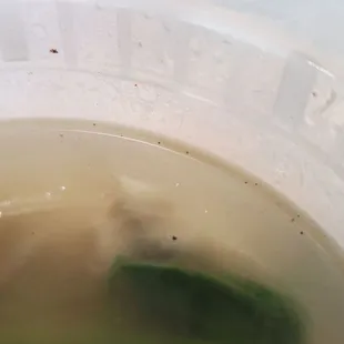 Dirt from unrinsed bok choy.