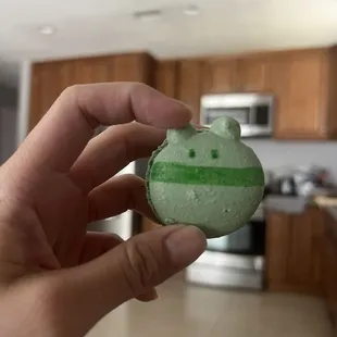 Matcha - So cute! Another Winnie The Pooh Head