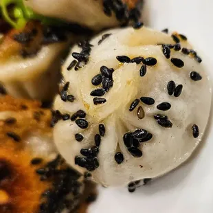 Mini pan fried xiao long baos. So cute!