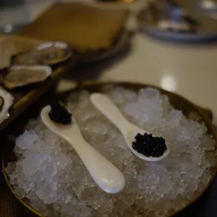 oysters and mussels, mussels, oysters, shellfish, food