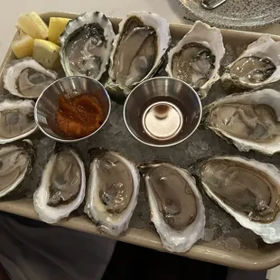 Oysters East Coast Oyster