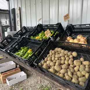 a variety of vegetables