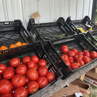 tomatoes and cucumbers