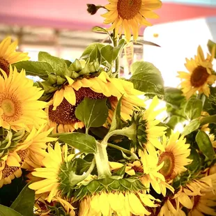 Sunflowers - reminds me of Van Gogh