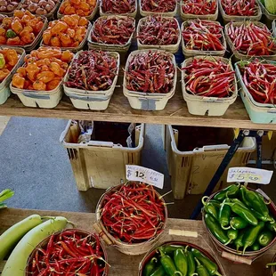 Makes me thankful to be alive