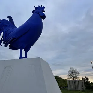 The color is amazing