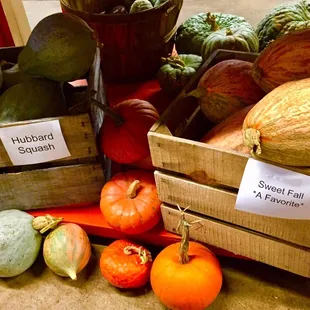 a variety of fruits and vegetables