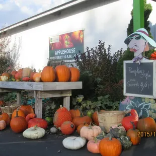 Minnesota Applehouse at peak of season.