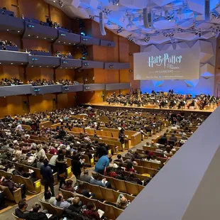 Harry Potter and the Order of the Phoenix