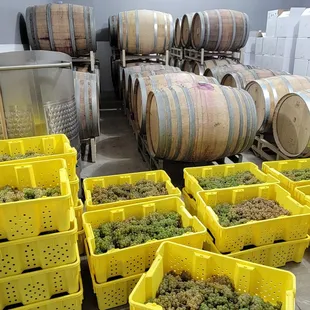 Home grown goodness!